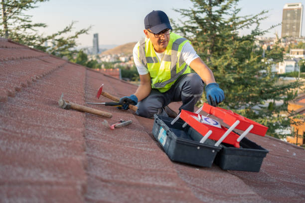 Best Fascia and Soffit Installation  in Maple Park, IL